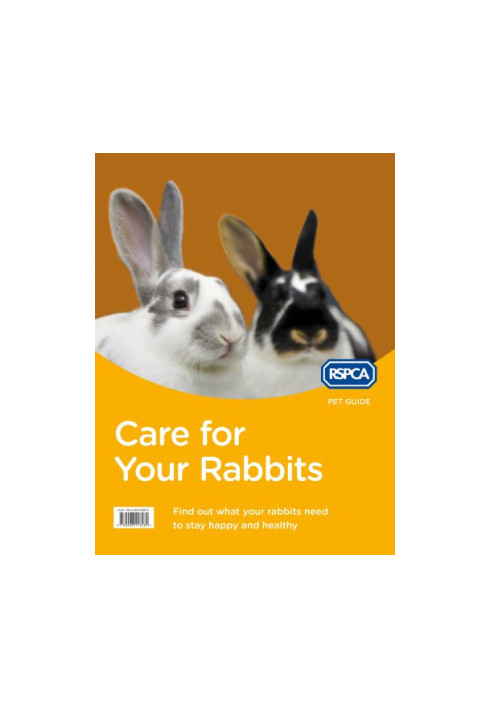Care for Your Rabbits