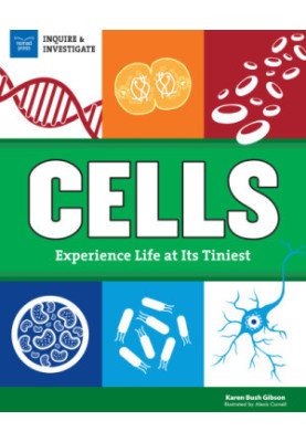 Cells