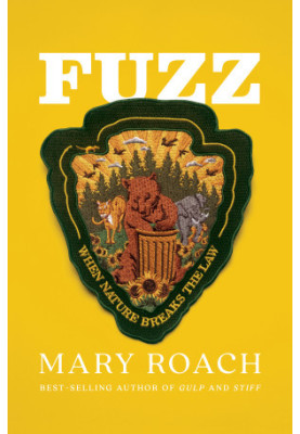 Fuzz: When Nature Breaks the Law