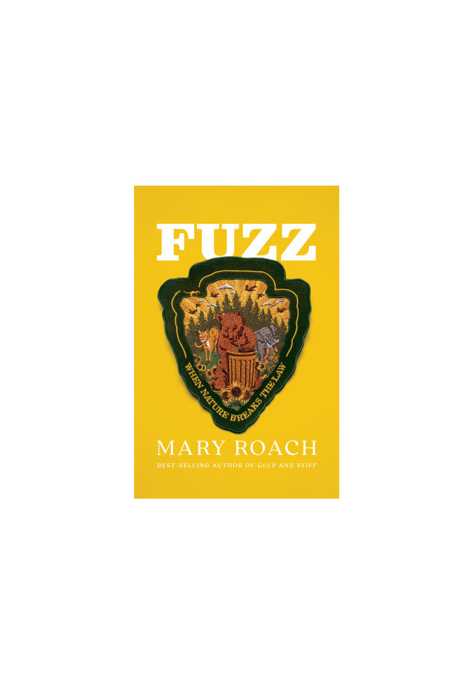 Fuzz: When Nature Breaks the Law