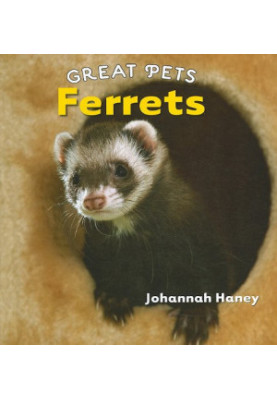 Ferrets (Great Pets).