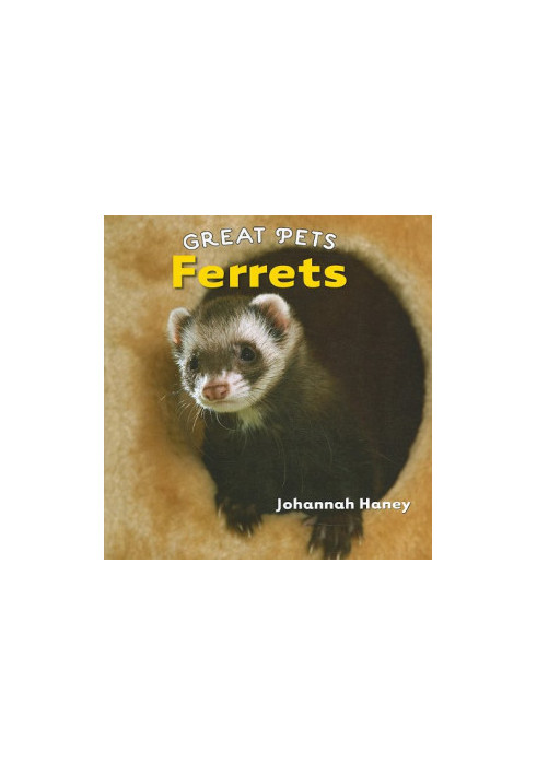Ferrets (Great Pets).