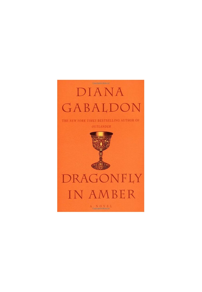 Dragonfly in Amber