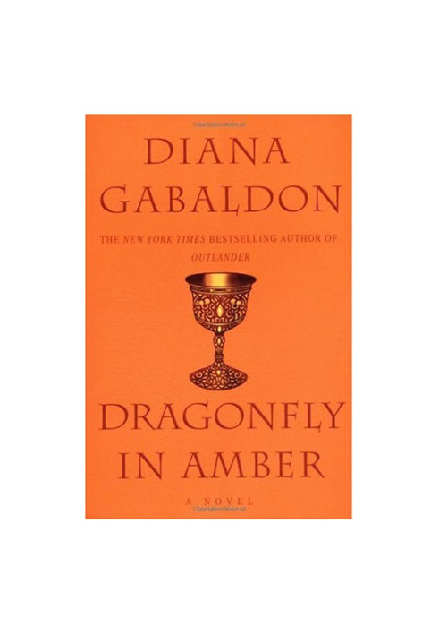 Dragonfly in Amber