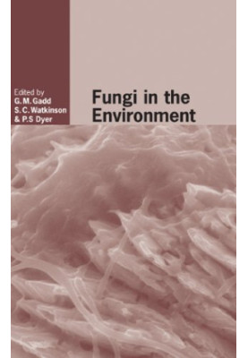 Fungi in the Environment