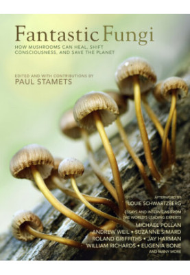 Fantastic Fungi