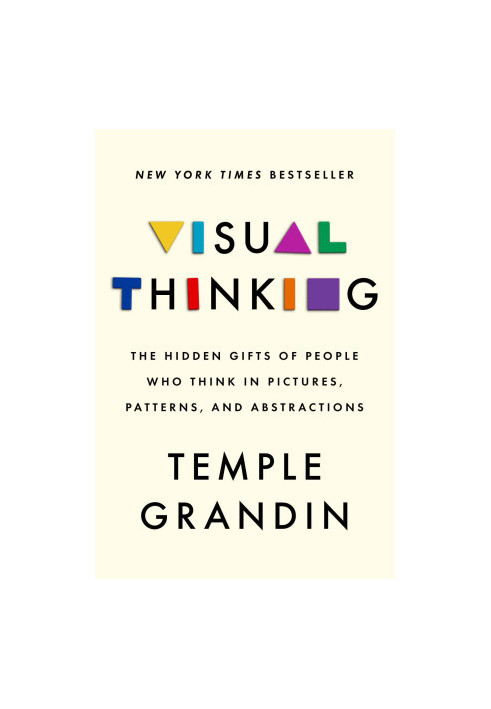 Visual Thinking: The Hidden Gifts of People Who Think in Pictures, Patterns, and Abstractions