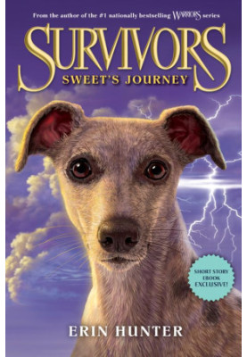 Survivors - Sweet's Journey