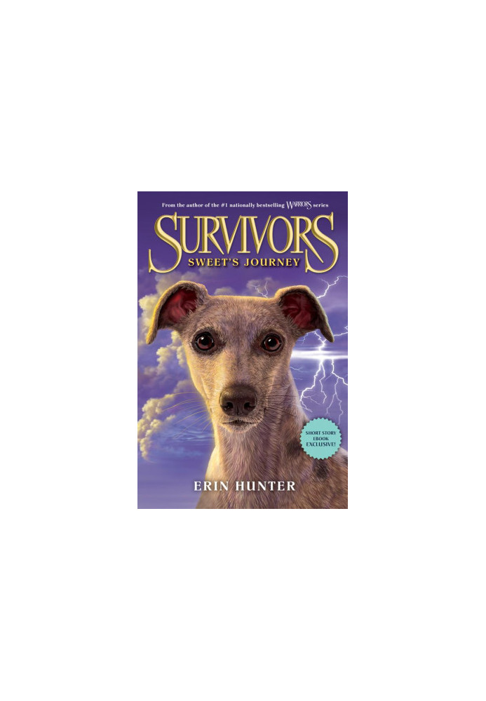 Survivors - Sweet's Journey
