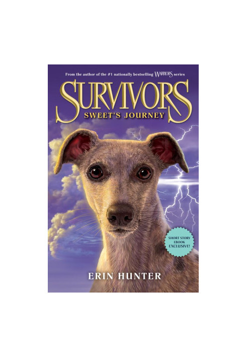 Survivors - Sweet's Journey