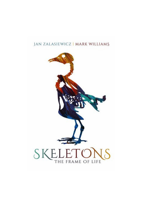 Skeletons: The Frame of Life