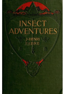 Insect Adventures