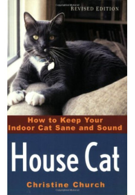 House Cat - How to Keep Your Indoor Cat Sane and Sound