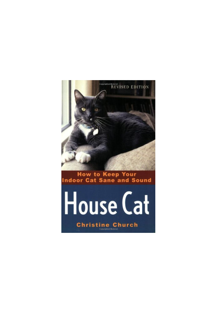 House Cat - How to Keep Your Indoor Cat Sane and Sound