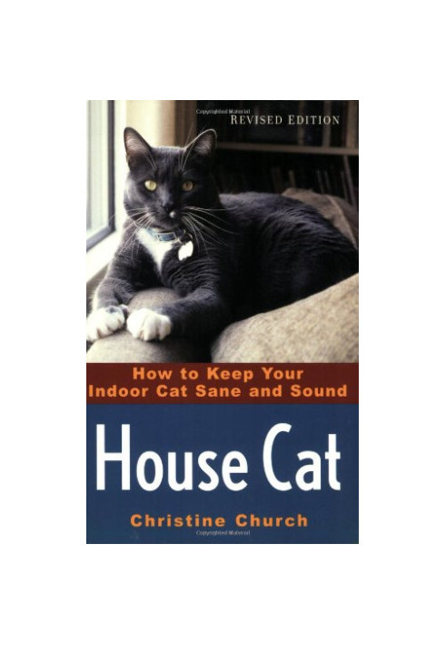 House Cat - How to Keep Your Indoor Cat Sane and Sound