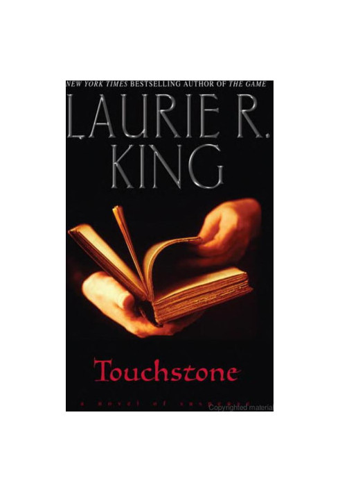 Touchstone (Harris Stuyvesant 1)