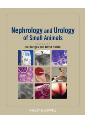Nephrology and Urology of Small Animals