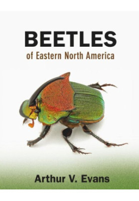 Beetles of Eastern North America