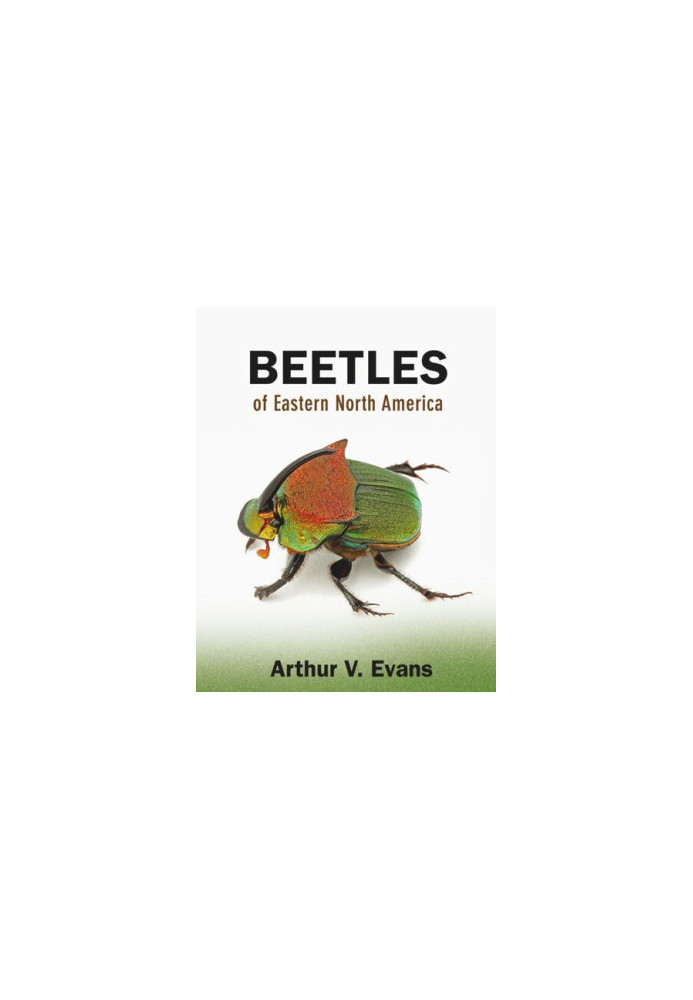 Beetles of Eastern North America