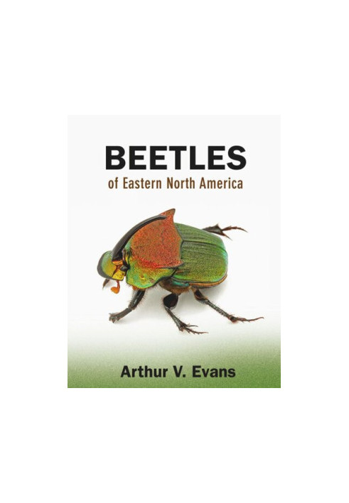 Beetles of Eastern North America