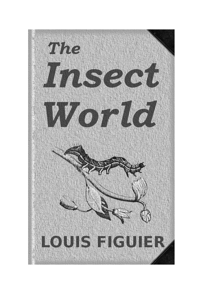 The Insect World Being a Popular Account of the Orders of Insects; Together with a Description of the Habits and Economy of Some