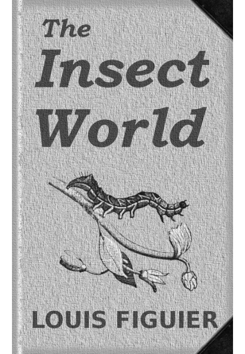 The Insect World Being a Popular Account of the Orders of Insects; Together with a Description of the Habits and Economy of Some