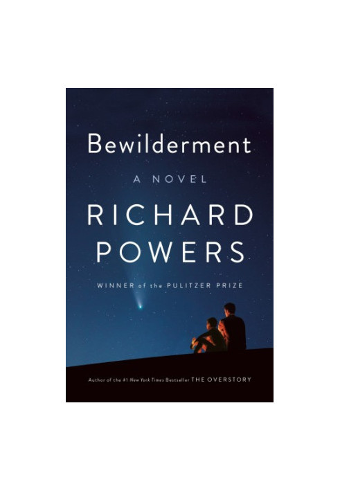 Bewilderment