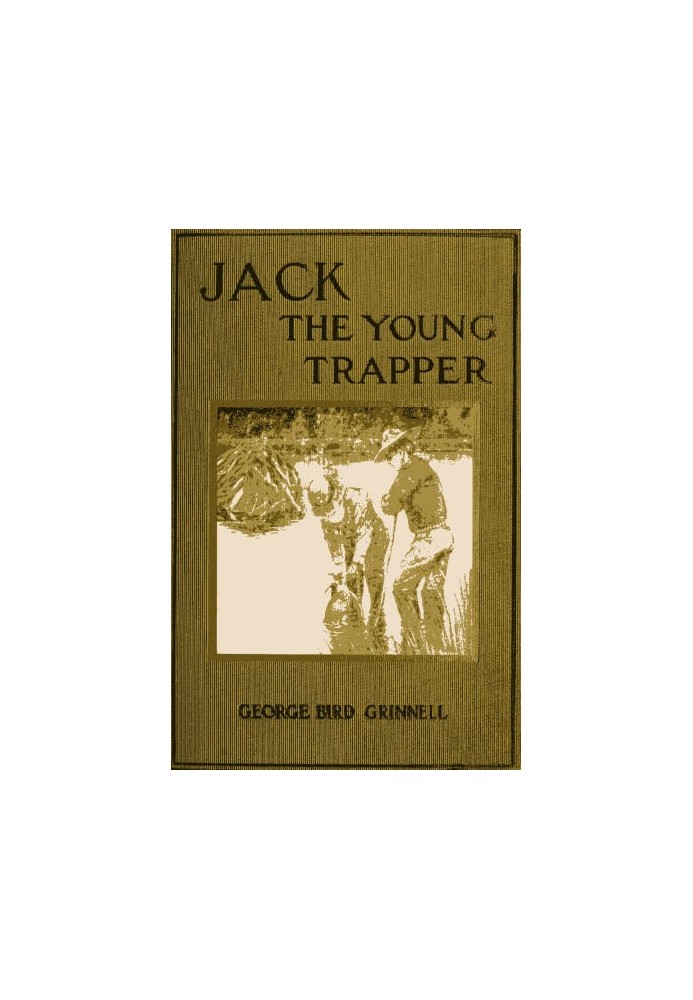 Jack the Young Trapper: An Eastern Boy's Fur Hunting in the Rocky Mountains