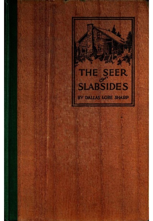 The Seer of Slabsides