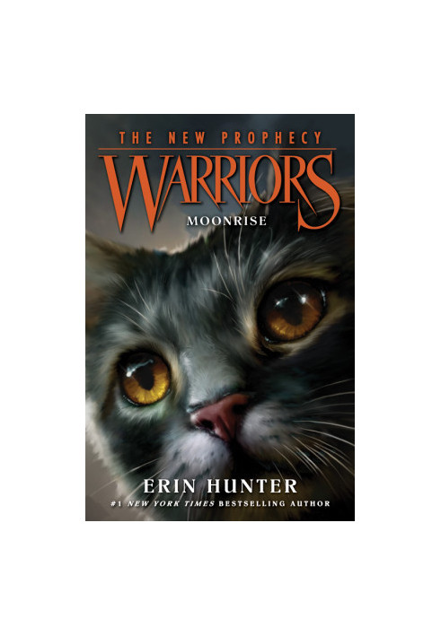 Hunter, Erin - Warriors: The New Prophecy 02 -Moonrise