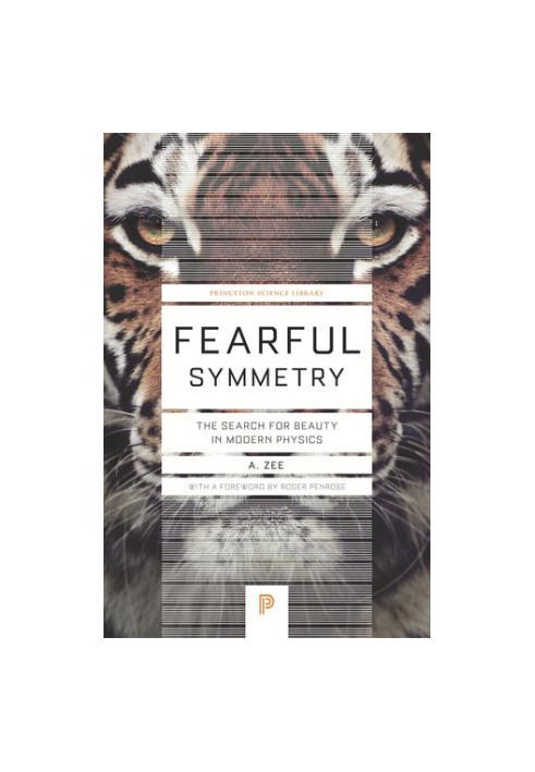 Fearful Symmetry: The Search for Beauty in Modern Physics