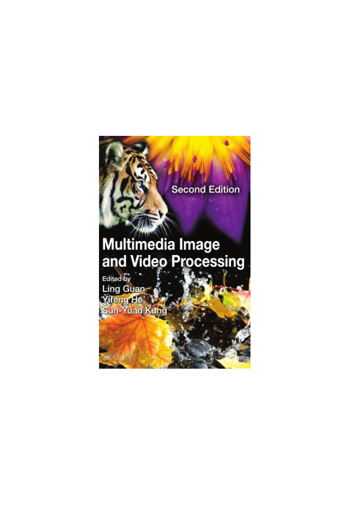 Multimedia image and video processing