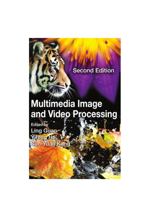 Multimedia image and video processing