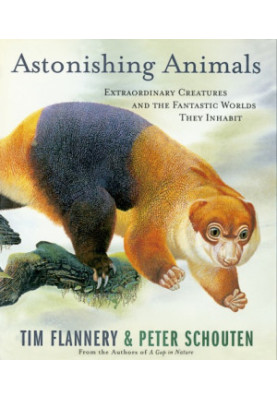 Astonishing Animals: Extraordinary Creatures and the Fantastic Worlds They Inhabit