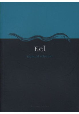 Eel
