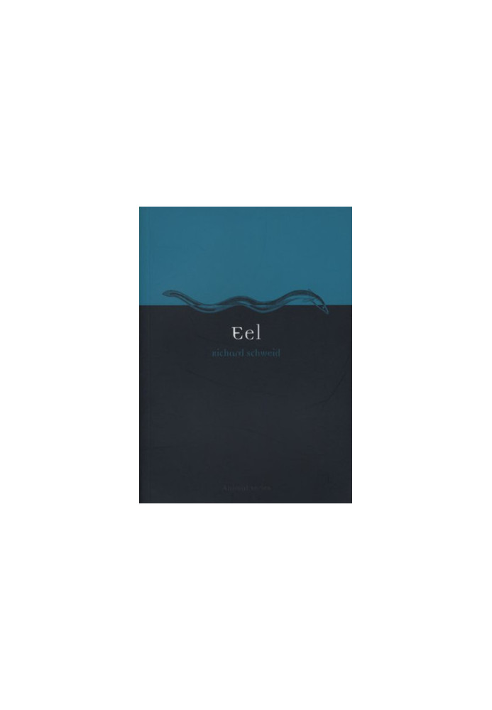 Eel