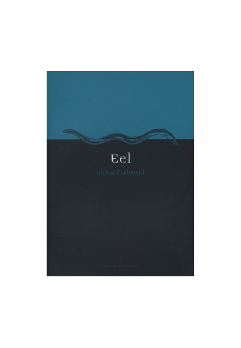 Eel