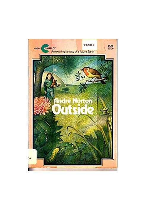 Outside