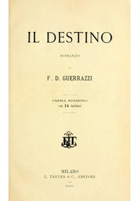 Destiny: novel