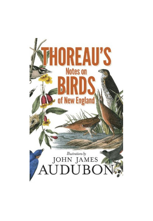 Thoreau’s Notes on Birds of New England