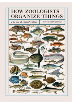 How Zoologists Organize Things: The Art of Classification