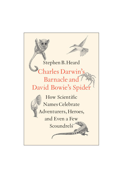 Charles Darwin’s Barnacle and David Bowie’s Spider