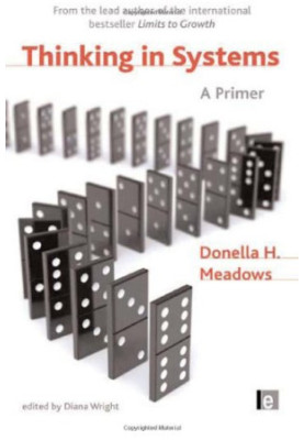 Thinking in Systems - A Primer