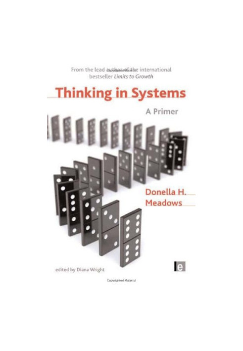 Thinking in Systems - A Primer