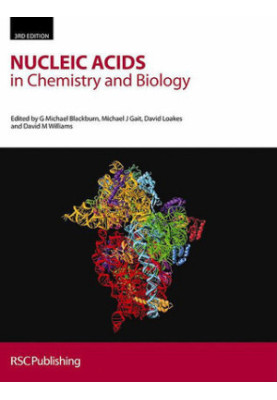 Nucleic acids in chemistry and biology