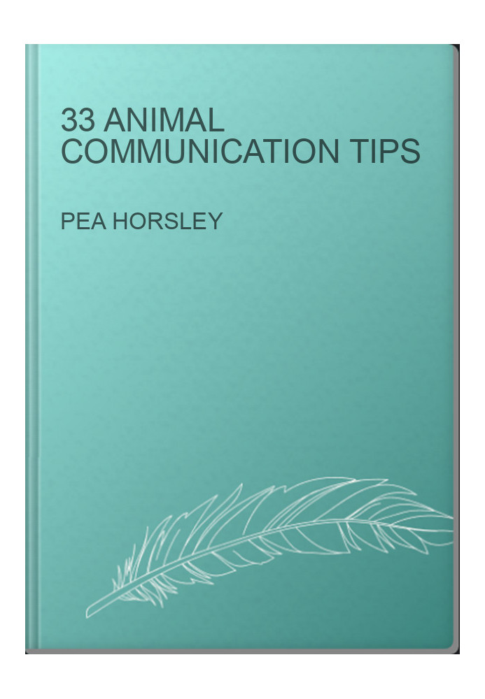 33 Animal Communication Tips