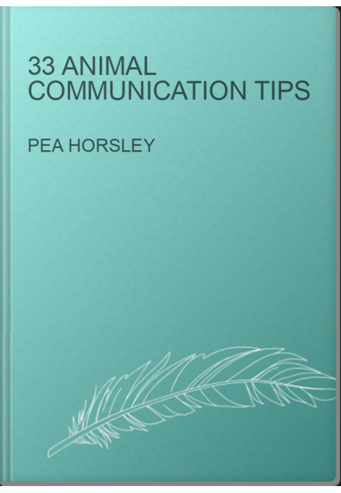 33 Animal Communication Tips