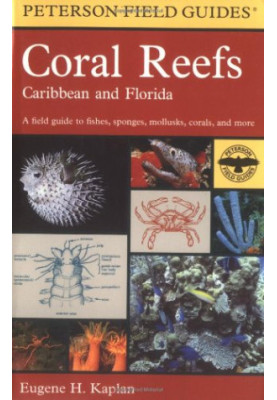 A Field Guide to Pacific Coast Fishes: North America