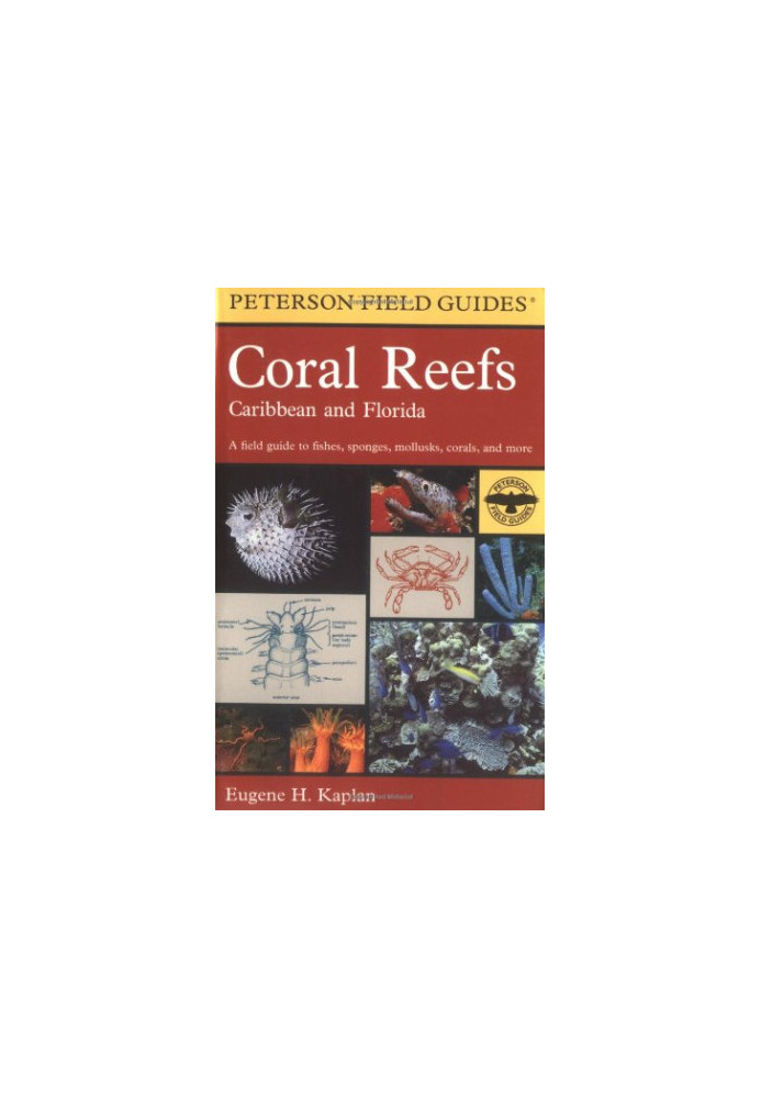A Field Guide to Pacific Coast Fishes: North America
