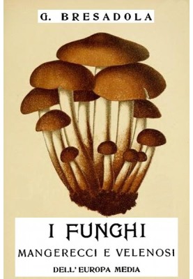 The edible and poisonous mushrooms of Middle Europe with special attention to those growing in Trentino - II revised and augment